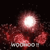 <p><strong>NEW</strong> OWNERSHIP - INSTATINT 2.0</p>